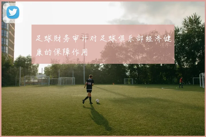 足球财务审计对足球俱乐部经济健康的保障作用