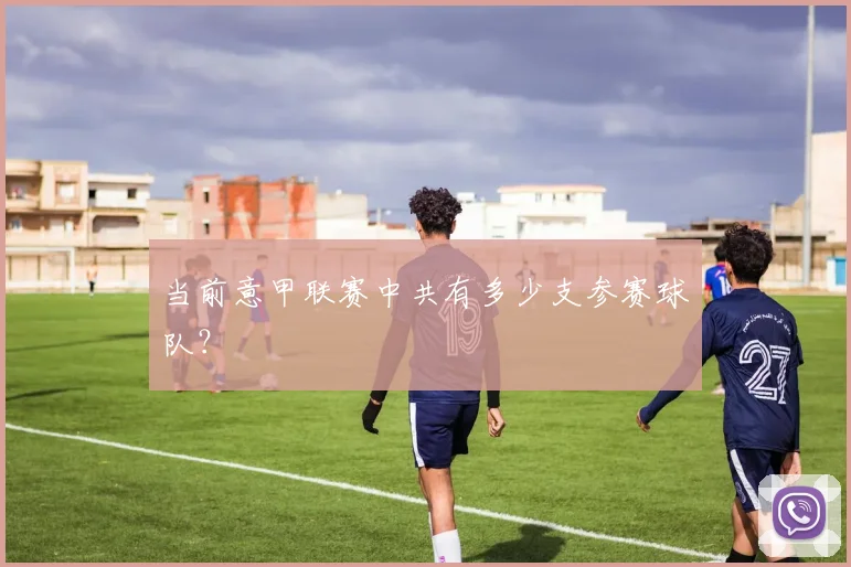 当前意甲联赛中共有多少支参赛球队？