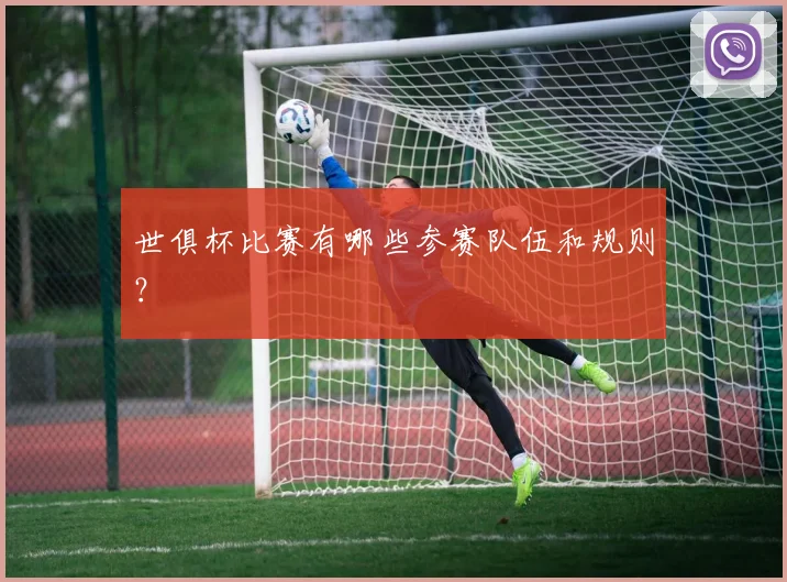世俱杯比赛有哪些参赛队伍和规则?