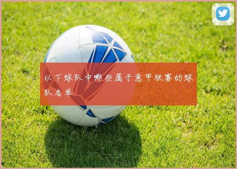 以下球队中哪些属于意甲联赛的球队名单