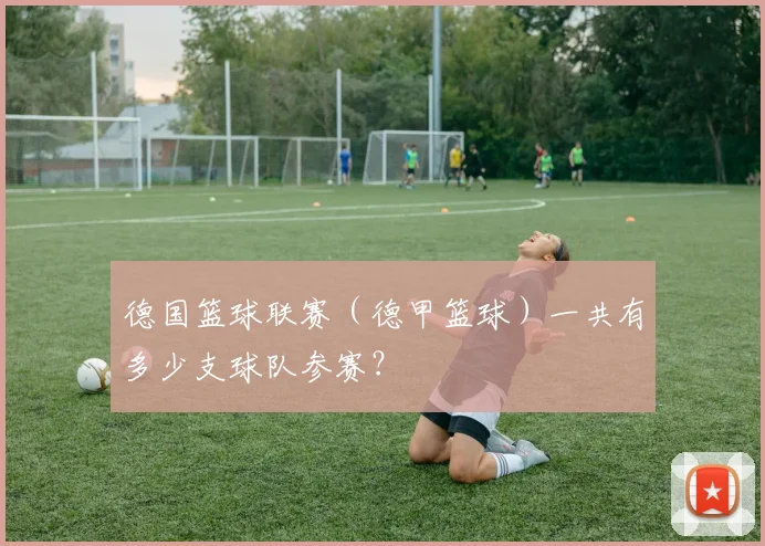 德国篮球联赛（德甲篮球）一共有多少支球队参赛？