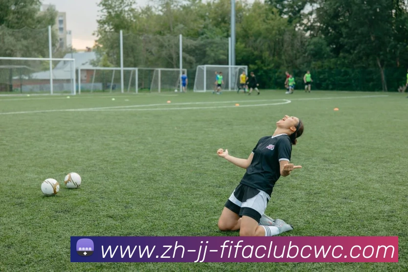 世界杯平台平台生态图