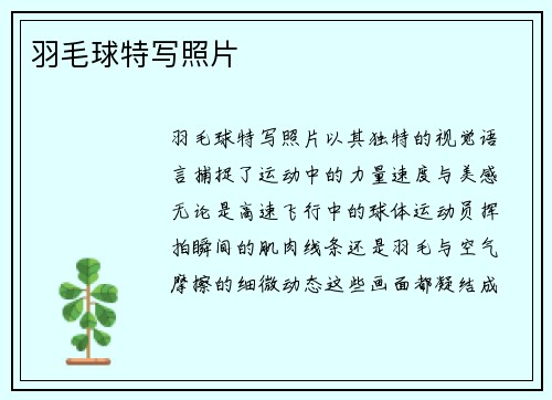 羽毛球特写照片
